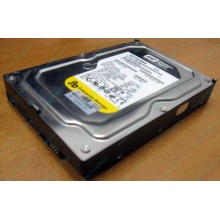 Жесткий диск 160Gb WD WD1602ABKS SATA (Тверь)