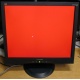 Монитор 19" ViewSonic VA903b (1280x1024) есть битые пиксели (Тверь)
