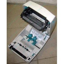 Термопринтер Zebra TLP 2844 (без БП!) - Тверь