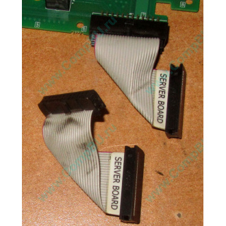 6017B0045701 Шлейф 24 pin для Intel C74974-401 T0043401-B01 корпуса SR2400 (Тверь)