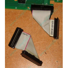 6017B0045701 Шлейф 24 pin для Intel C74974-401 T0043401-B01 корпуса SR2400 (Тверь)