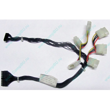 59P4789 FRU 59P4792 в Твери, кабель IBM 59P4789 FRU 59P4792 для серверов X225 (Тверь)