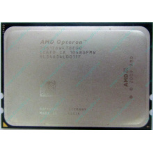 AMD Opteron 6128 OS6128WKT8EGO (Тверь)